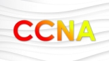 Certified Network Associate CCNA Practice Test