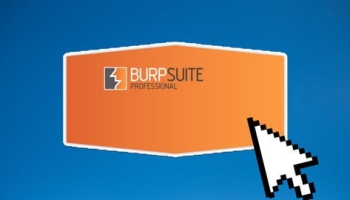 Burp Suite: In Depth Survival Guide