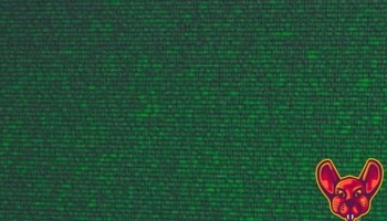 XSS Survival Guide