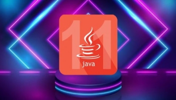 OCP Java® SE 11 Developer Exam 1Z0-819 Practice Tests