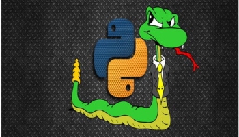 Control Flow Structure in Python
