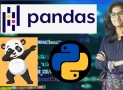 Pandas library for data science (All in One)