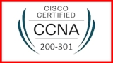 [NEW] CCNA : Cisco Certified Network Associate Practice Exam
