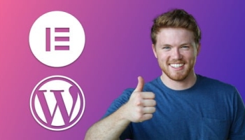 Learn Elementor & WordPress, for Startups & Freelancers