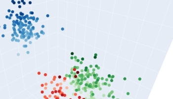 Principles of Beautiful Data Visualization (2021)