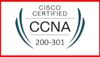 [NEW] CCNA : Cisco Certified Network Associate Practice Exam
