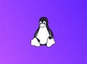 Complete Linux Training Course to Get Your Ideal IT Job