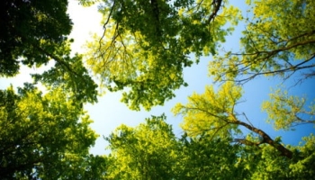 Build A TodoList with Python, FastAPI and Svelte