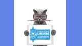 MuleSoft Developer Level 1 (Mule 4) Certification 2021