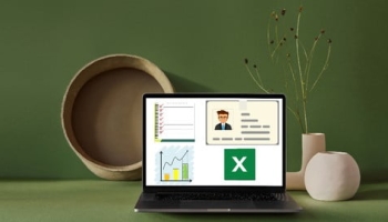 Complete Advanced Data Entry Application in Microsoft Excel