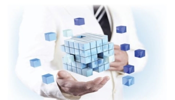Excellence in Product and Brand Management- FMCG, FMCD etc