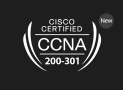 Ultimate CCNA 200-301 Practice Exams [Learn & Practice] 2022