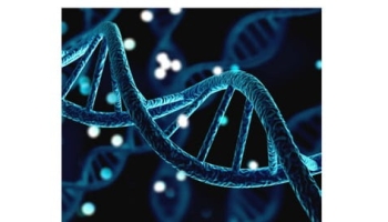 Genetics : All science related to genetic