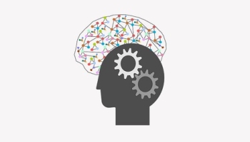 Computer Vision and NLP with AWS ML and Python Boto3