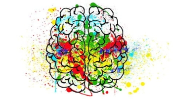 Neuroplasticity Life Coach Complete Certificate Course