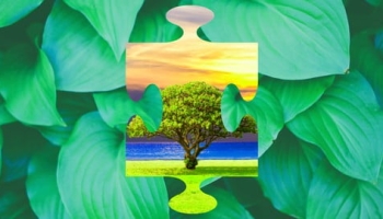 Carbon Neutrality Fundamentals