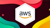 Ultimate AWS Developer Associate Practice Exams 2024 500+ Q