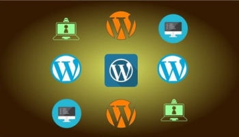 Become a Pro WordPress Custom Theme Developer