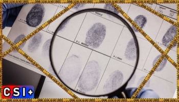 Criminology and Criminal Psychology | Certified CSI+ Course