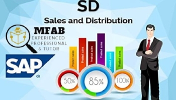 Best Course for Beginners; SAP SD: SAP Order to Cash by MFAB