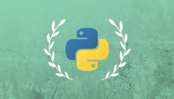 100 Days of Code: Data Scientist Challenge 2023