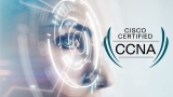 Cisco CCNA 200-301 Certification Practice Tests (2022)