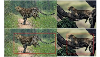 Object Detection on Custom Dataset With Keras Using Python