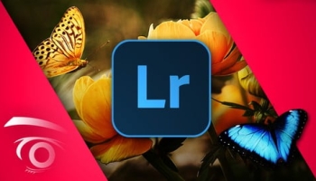 Adobe Lightroom Classic CC: Master the Develop Module