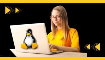 Linux bash shell scripting Incl. AWK, SED and 10+ projects.