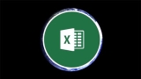 Microsoft Excel for Real World Experience