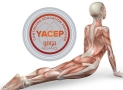 Yoga Anatomy & Physiology Certificate – Yoga Alliance YACEP