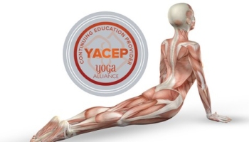 Yoga Anatomy & Physiology Certificate – Yoga Alliance YACEP