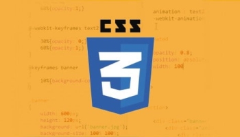 Learn CSS Transition and Animation