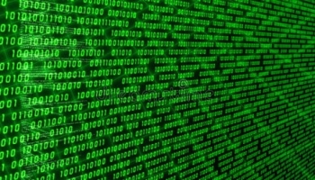 Burp Suite Apprentice Web App Penetration Testing Course