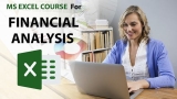 Microsoft Excel Course for Financial Analysis