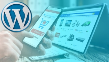 Advanced WordPress Course for Professionals