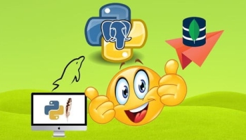 Fast Python Programming For Absolute Beginners SQL in Python
