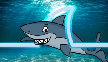 Wireshark Ninja | Mastering Real Wireshark PROALL|2023WSHRK+