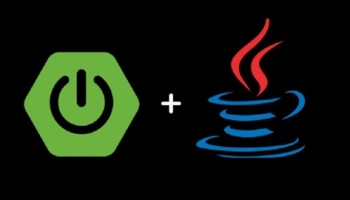 Java + Spring Boot, Rest Web Services, MVC, Microservices