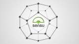 Sensu – Introduction