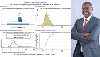 Mastering Household Survey Data Processing using Stata