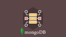 MongoDB Essentials – Understand the Basics of MongoDB