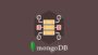 MongoDB Essentials – Understand the Basics of MongoDB