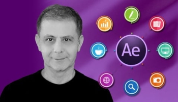 After Effects CC Expressions: Design & Animate Infographics