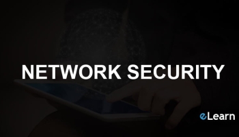 Best Network Security Certification Courses